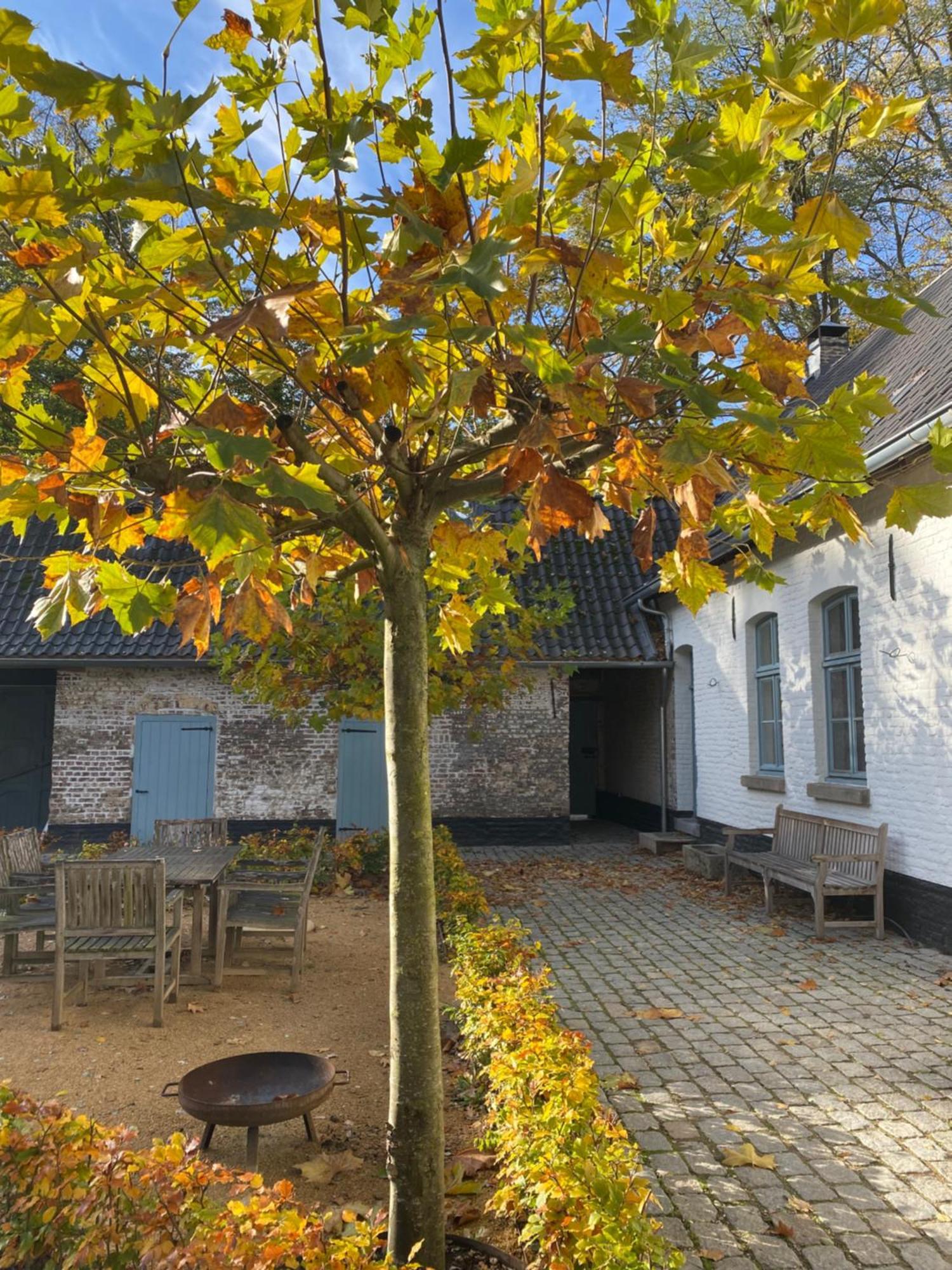 Cottage Landgoed Frymerson Sint Odilienberg Екстер'єр фото